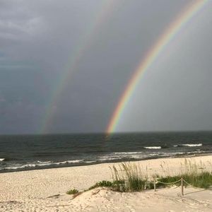 Meet your Posher, Sylvia